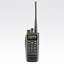 Motorola DP 3600 / 3601 (  )